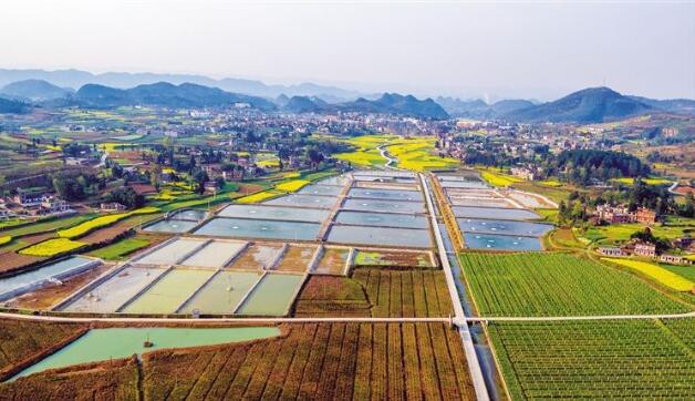 河北省政府出臺《關于做大做強農(nóng)業(yè)產(chǎn)業(yè)化龍頭企業(yè)的意見》，提出河北省農(nóng)業(yè)產(chǎn)業(yè)化發(fā)展目標