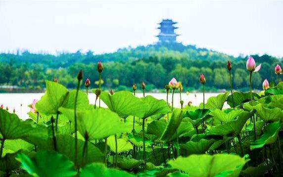 中國文旅產(chǎn)業(yè)的市場(chǎng)潛力龐大，未來市場(chǎng)空間有望達(dá)到2萬億元