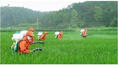 農(nóng)藥行業(yè)仍然具有較大的發(fā)展空間，高效、低毒、低殘留將是其發(fā)展方向
