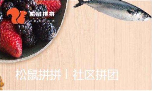 社區(qū)團購平臺“松鼠拼拼”完成3100萬美元B1輪融資，融資將用于供應(yīng)鏈完善等?
