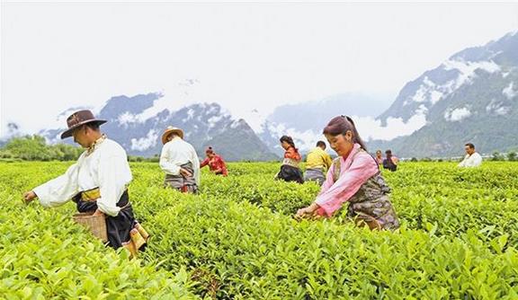 截至2018年底，西藏貧困人口已降至15萬人，貧困發(fā)生率下降到6%以下