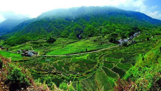 咸寧重振雄風(fēng)推進茶文旅融合，做深做優(yōu)做強茶產(chǎn)業(yè)
